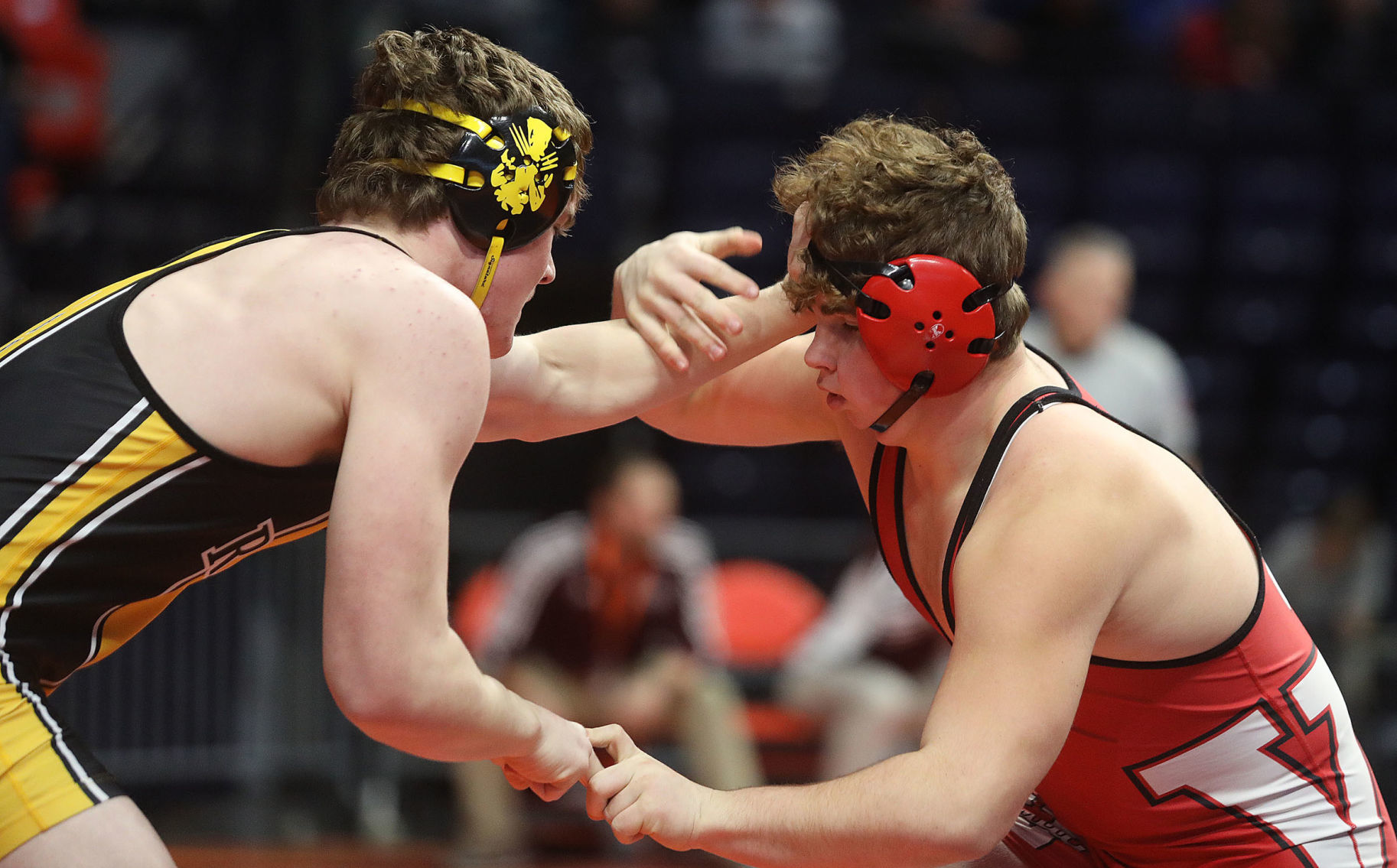 Mouser_Gavin 2.15.19.jpg
